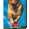 MEGABONE ENERGY