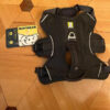 Web Master Dog Harness with Handle