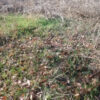 Agricultural plot, Տ-2-2 in Masis, 4,300 sq.m.