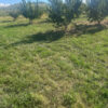 Գյուղատնտեսական հողատարածք, 2 Արմավիրում, 4,300 քմ