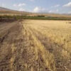 Գյուղատնտեսական հողատարածք Զովքում, 8,000 քմ