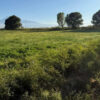 Agricultural plot in Sis, 22,000 sq.m.