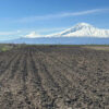 Agricultural plot in Gai, 6,100 sq.m.