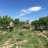 Գյուղատնտեսական հողատարածք Վանանդում, 1,140,170 քմ