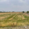 Գյուղատնտեսական հողատարածք Ծաղկունքում, 3,900 քմ